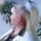 user_13555429_1272027866007_box[1]