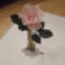 SAM_0557