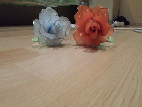 SAM_0563