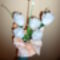 SAM_0669