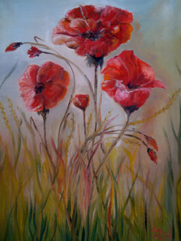 Pipacs (5)  60×80cm olaj ,vászon
