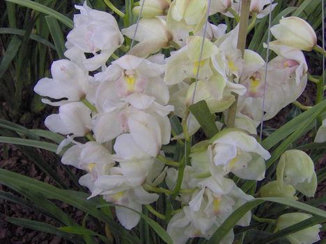 2011 kiállítás 1