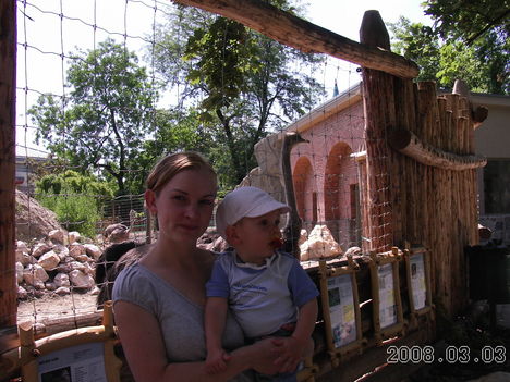 állatkerti séta 2008 nyara