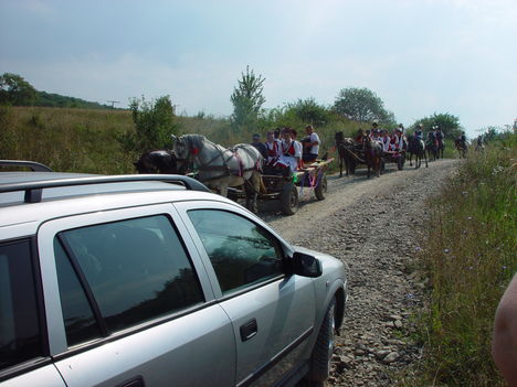DSC00834