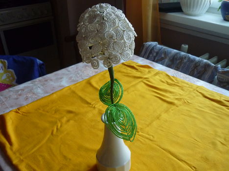 P1020059