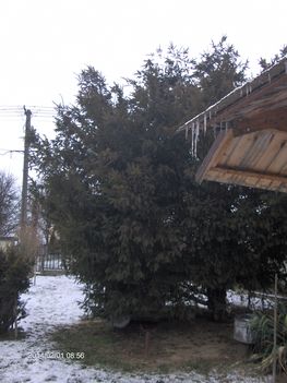 2014 . .. 02 01  ez évi hóállás.  . . . .