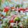 Aghires_fabriciro_1043308_1582_t