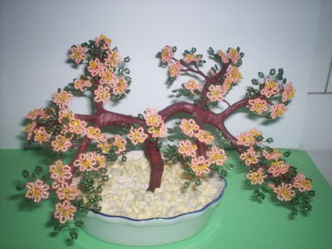 Virágzó  bonsaifa