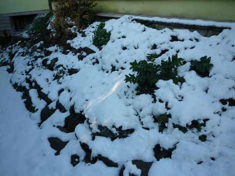 2013 dec7Alvó sziklakert.