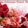 Boldog_szuletesnapot_kivanunk_a_testveremnek-001_1441923_7600_t