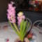 DSCN0372