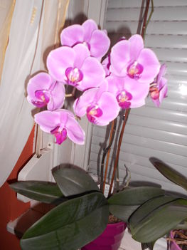 DSCN2173