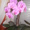 DSCN2173