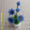 Kék virágom