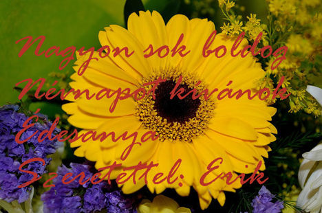 Nagyon sok boldog névnapot kívánok Édesanya :) Szeretettel: Erik