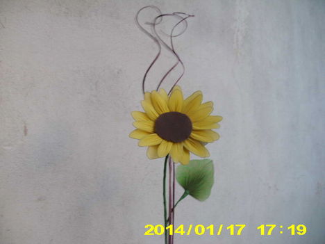 Napraforgó