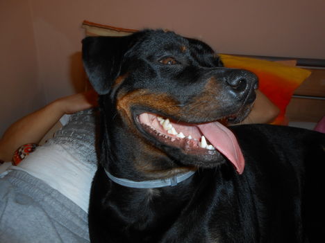 DSCN0630