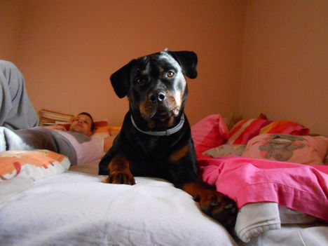 DSCN0634