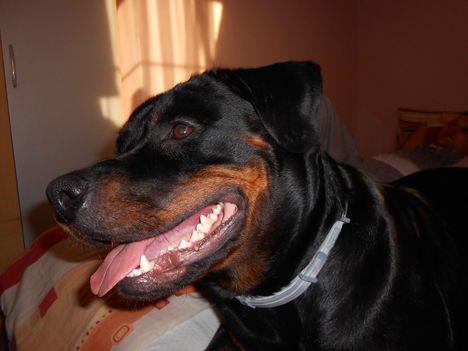 DSCN0641