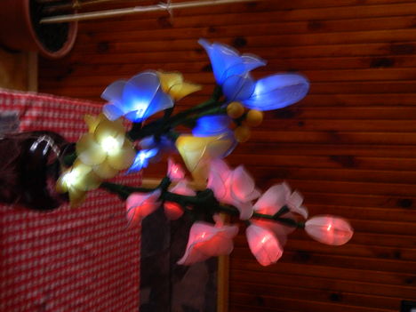 Kép 030