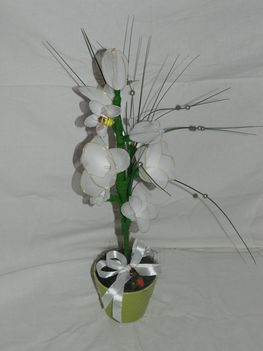 Kép 047