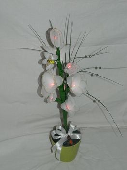 Kép 049