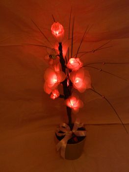 Kép 051