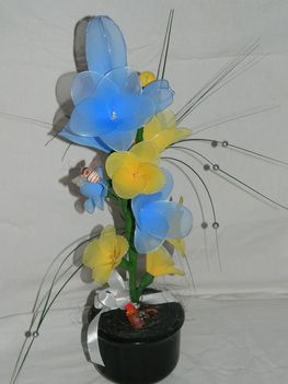 Kép 053
