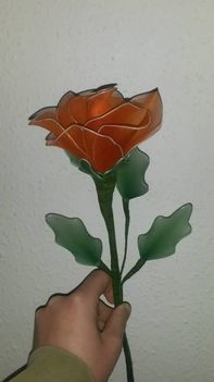 rózsa