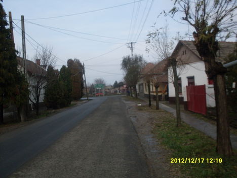 SDC10723