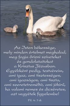 Áldott szép hétvégét,és új hetet mindenkinek!