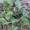DSCF1470
