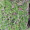 DSCF1478