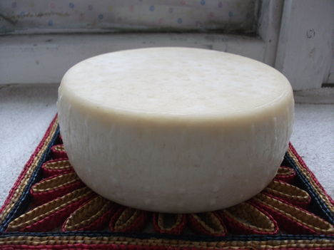 DSCF5800