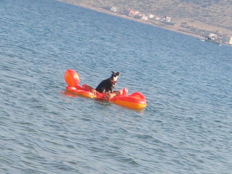 Natika 14