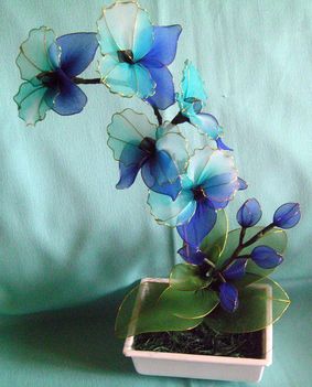 Orchidea királykék - türkizkék