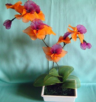 Orchidea különlegesség