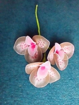 orchideák
