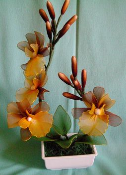 orhidea Sárga - barna melírozott 