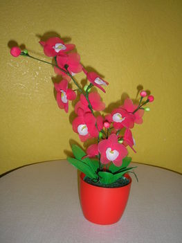 P1010079