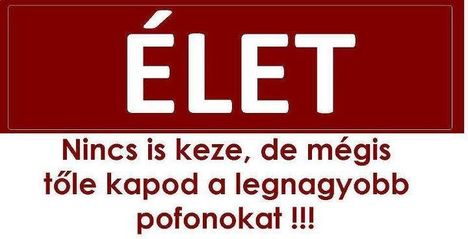 Élet=pofon