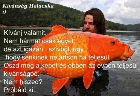 KÍVÁNJ VALAMIT