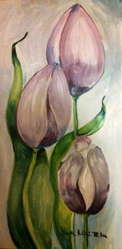 Lila tulipánok 002