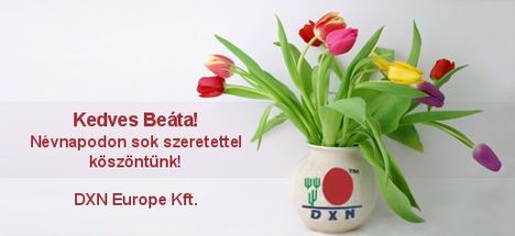 nameday_532e536951fa4