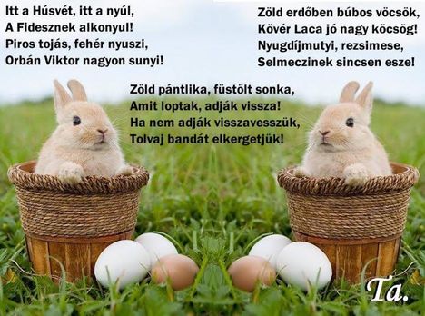 Nyuszi mutyi