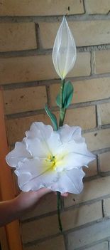liliom 