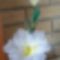 liliom 