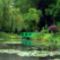 Monet híres kertje -giverny...........