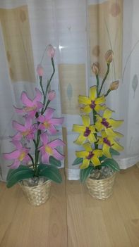 orchideák 