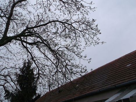 DSCF2583Veszéjben a ház